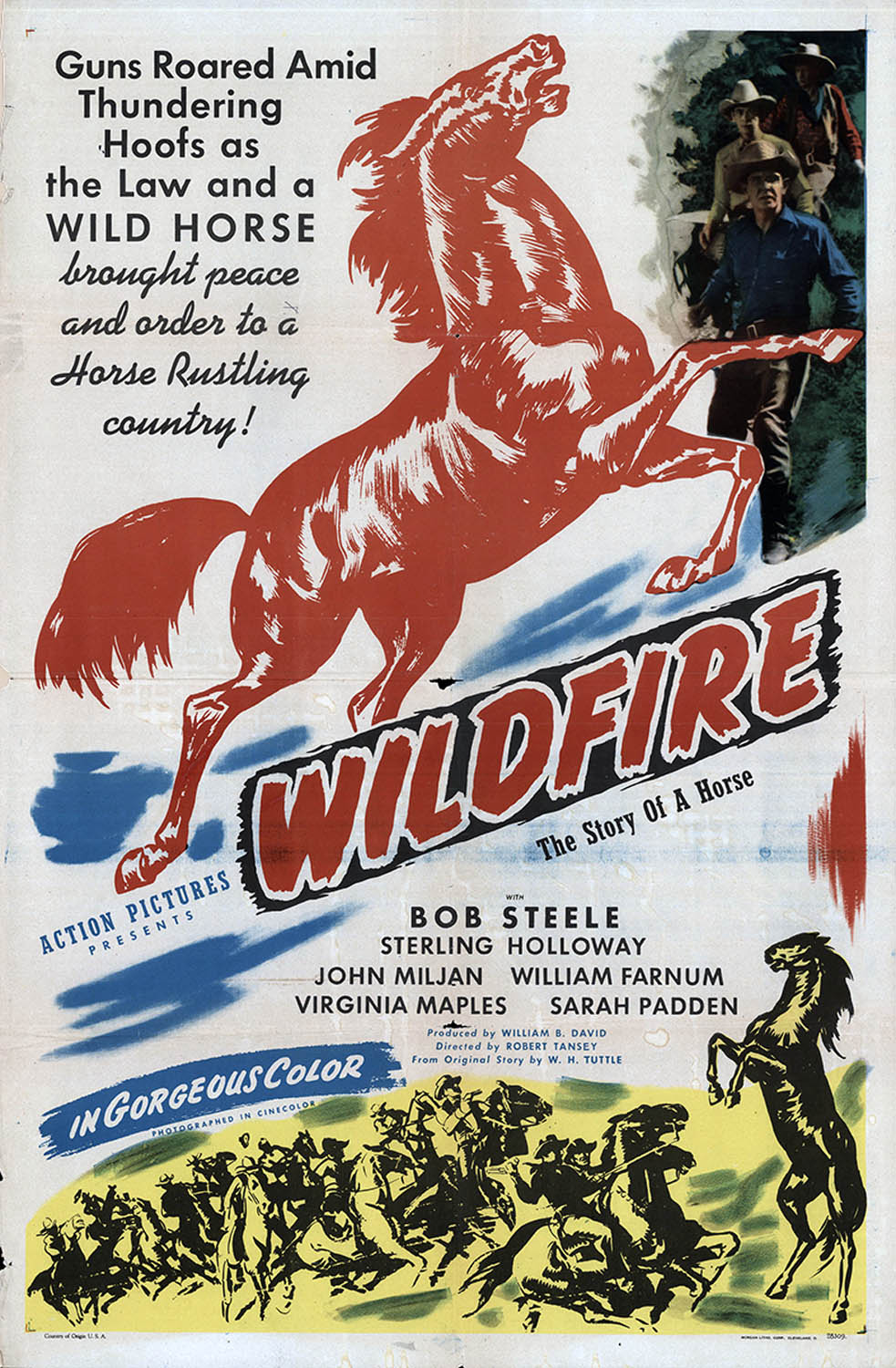 WILDFIRE